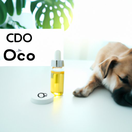 Exploring CBD Oil Dosing Guidelines for Dogs: Essential Information for Pet Owners