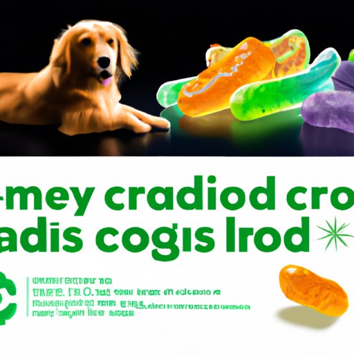 IV. Sensing the Benefits: How Dogs Can Detect CBD in Your Gummies