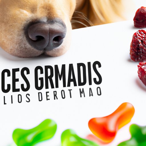 VII. CBD and Your Furry Friend: What You Need to Know About Dogs Smelling CBD Gummies