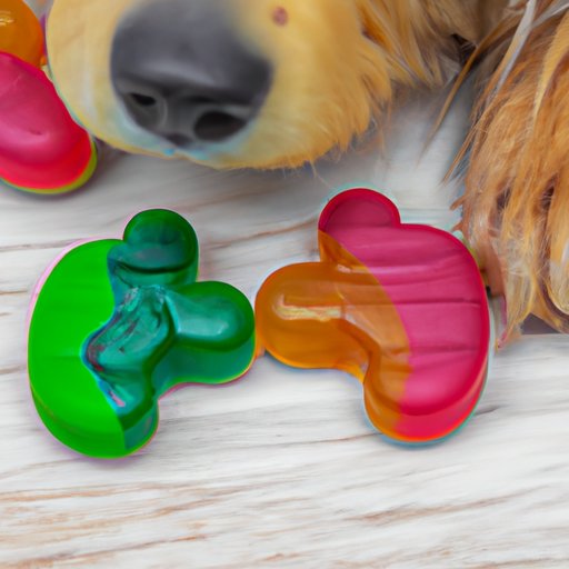 Benefits of CBD Gummies for Canine Health
