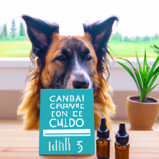 II. Discover the Benefits of Using CBD Oil for Your Furry Friends: How Dogs Can Benefit from This Natural Remedy