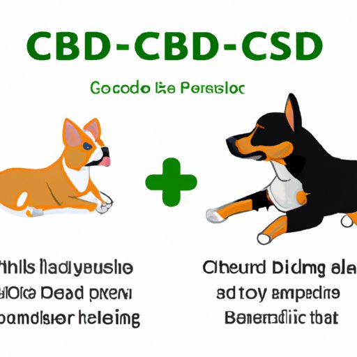The Pros and Cons of Administering Gabapentin and CBD Oil to Dogs Simultaneously