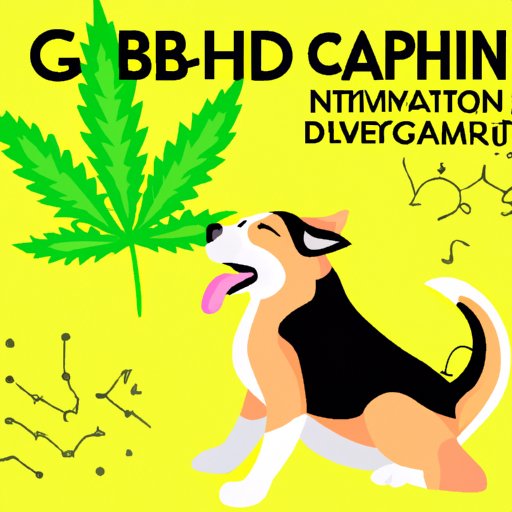 Maximizing the Health Benefits of Gabapentin and CBD Oil as a Duo for Your Dog