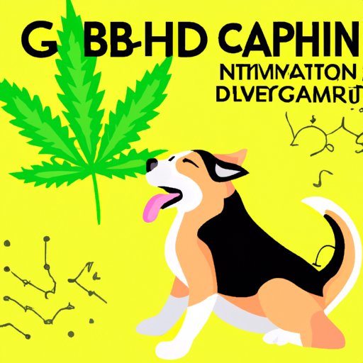 Maximizing the Health Benefits of Gabapentin and CBD Oil as a Duo for Your Dog