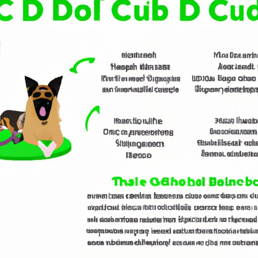 A Guide to Using CBD Oil for Dogs