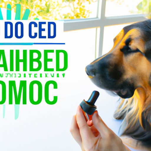 The Safety and Benefits of Using Human CBD Oil for Dogs: Exploring the Science and Practical Usage