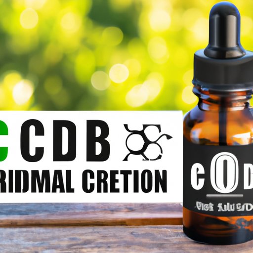 CBD Oil for Dogs: What You Need to Know Before Giving it to Your Pet
