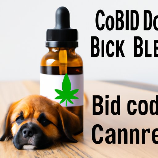 The Benefits of CBD Oil for Dogs: A Guide for Pet Owners