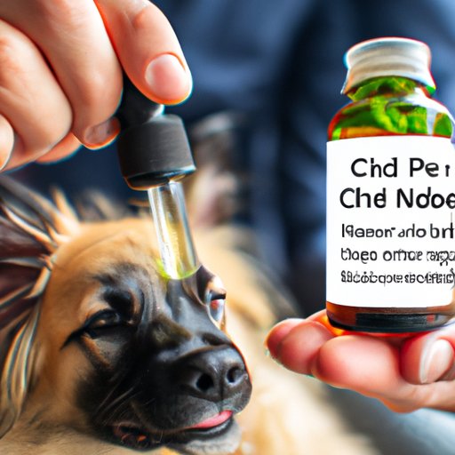 The Benefits of Sharing Pet CBD Oil with Humans