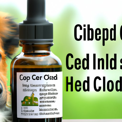 The Science Behind Pet CBD Oil and Its Effects on Humans