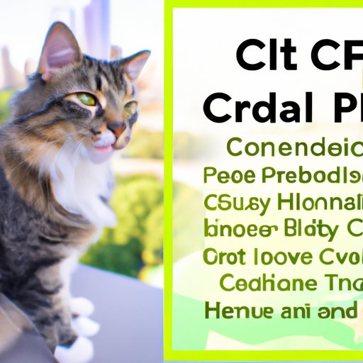 II. The Health Benefits of CBD Oil for Cats: All You Need to Know