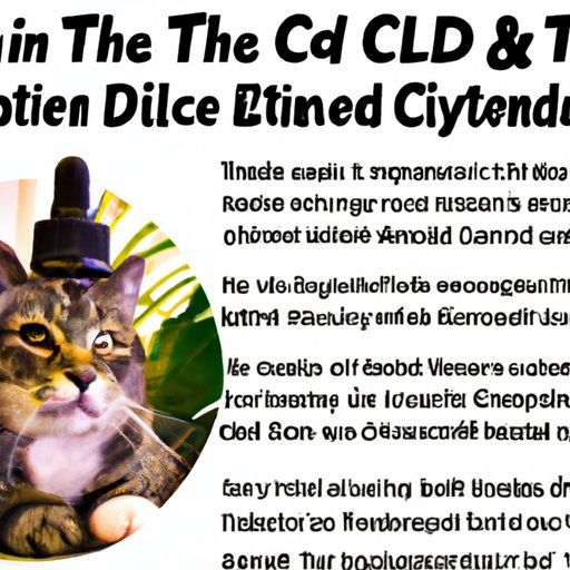 IV. Everything You Should be Aware of Before Giving CBD Oil to Your Cat