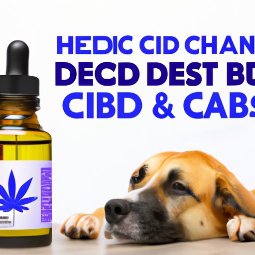 The Risks of CBD for Dogs