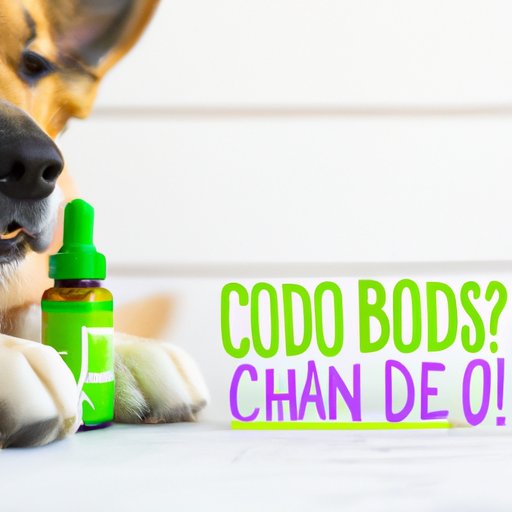 The Pros and Cons of Giving Your Dog CBD