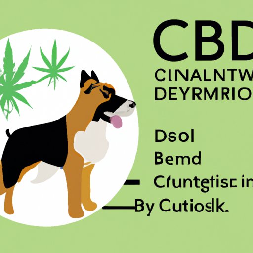 VII. The Science Behind CBD for Dogs: What the Research Says