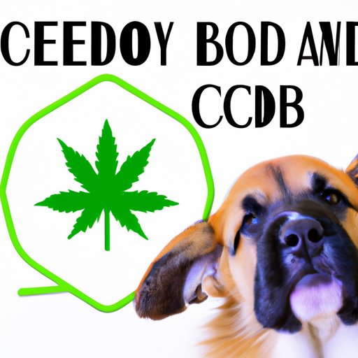 II. The Pros and Cons of Giving CBD for Humans to Your Dog: What You Need to Know