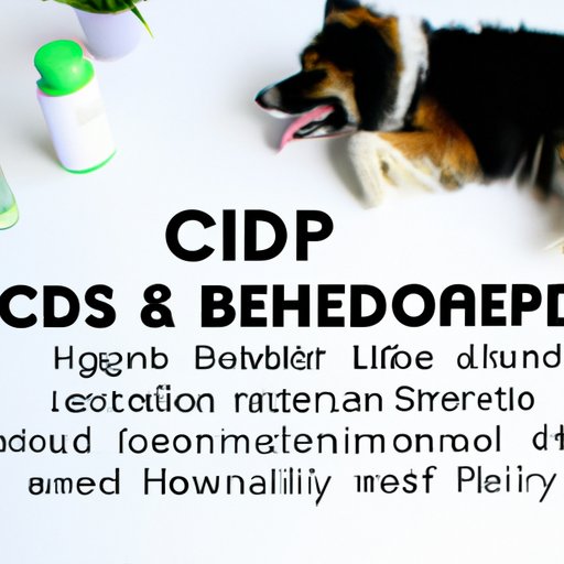 II. The Lowdown on Giving Your Dog CBD Oil and Phenobarbital Together
