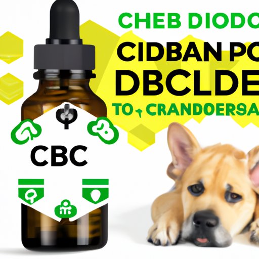 The Benefits and Risks of Using Human CBD on Your Dog
