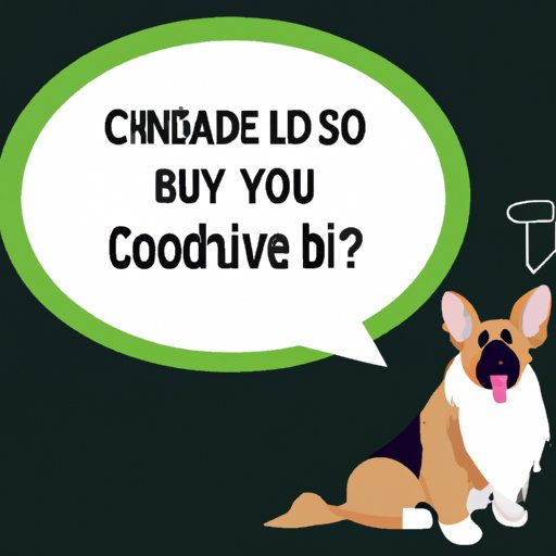 VII. What Your Vet Might Say About Giving Your Dog CBD
