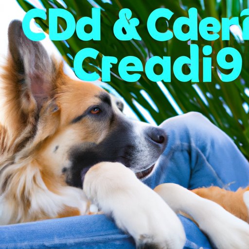 The Benefits of CBD for Dogs and How to Determine the Appropriate Amount