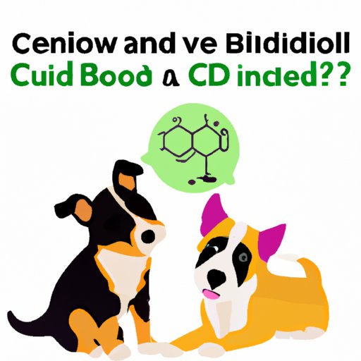 V. Understanding the Science behind CBD for Puppies 