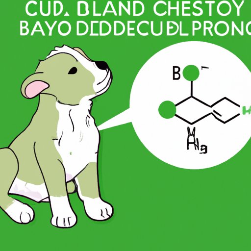 IV. Finding the Right Dosage: A Guide to Giving CBD to Your Puppy