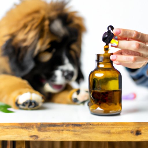 CBD Oil for Puppies: What You Need to Know About Its Benefits and Risks