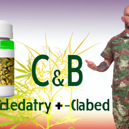 IV. Examining the Safety and Efficacy of CBD for Soldiers