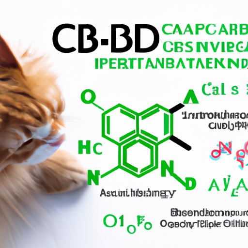 The Science Behind Combining Gabapentin and CBD Oil for Pet Anxiety Management