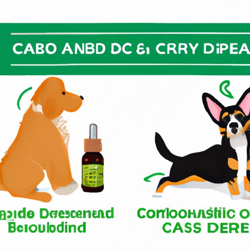 The Pros and Cons of Giving Gabapentin and CBD Oil to Your Dog Simultaneously