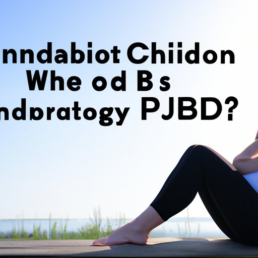 III. CBD and Pregnancy: What the Research Says