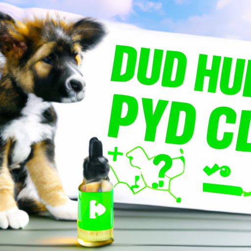 VII. Common Questions and Concerns About CBD Oil for Puppies Answered
