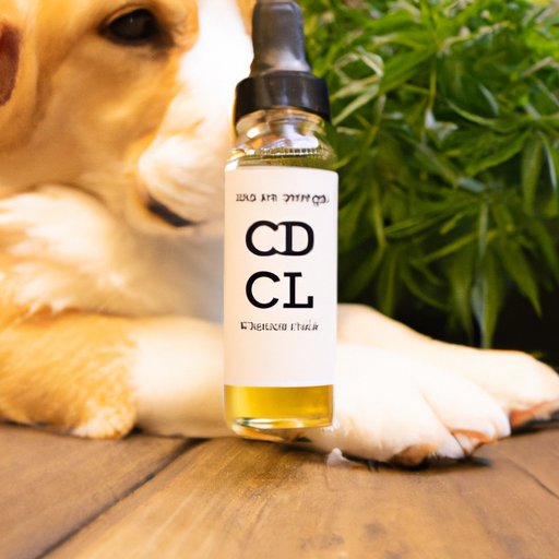 VI. Exploring the Science Behind CBD Oil for Puppies