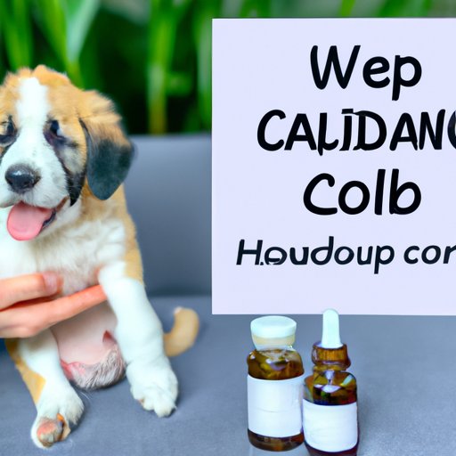 IV. Why Veterinarians Are Recommending CBD Oil for Puppies