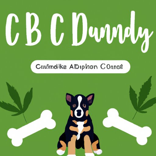 A Guide to Choosing the Right CBD Calming Treats for Your Puppy