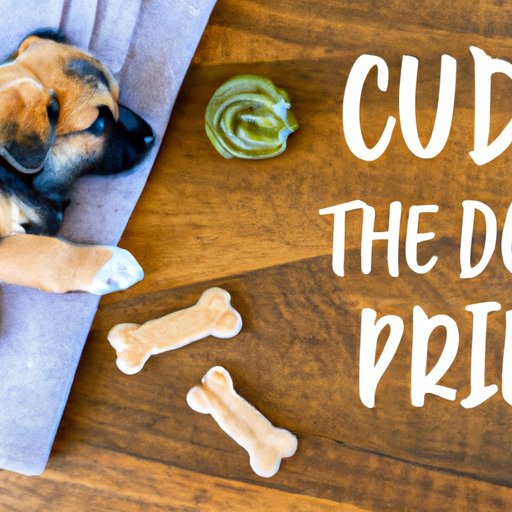 VI. Puppy Parenting 101: Everything You Need to Know About CBD Treats for Your Pup