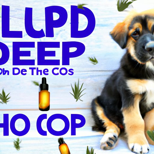 The Benefits of CBD Oil for Puppies: An Ultimate Guide