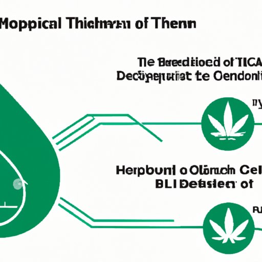 The Benefits of THC and CBD in the Management of Depression: A Comprehensive Review