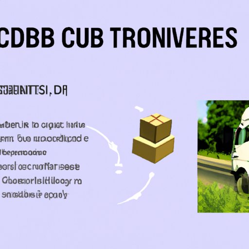 IV. Safe and Responsible Use of CBD by Truck Drivers: Guidelines to Follow