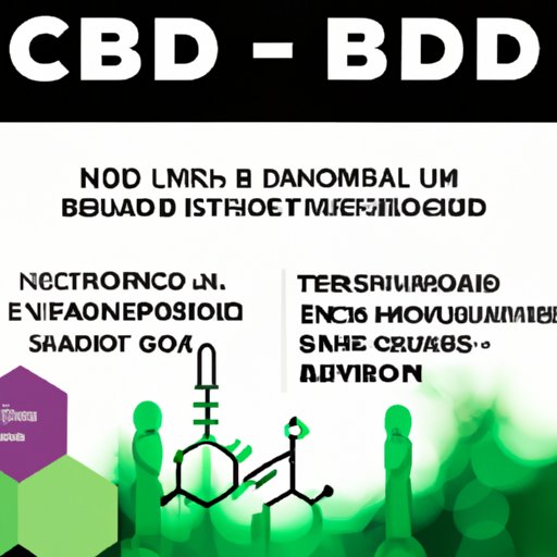 CBD and the Endocannabinoid System: How it Works and Why it Matters