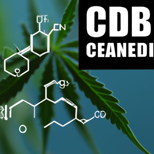 The Importance of Proper Dosage: How Taking Too Much CBD Can Lead to Tolerance