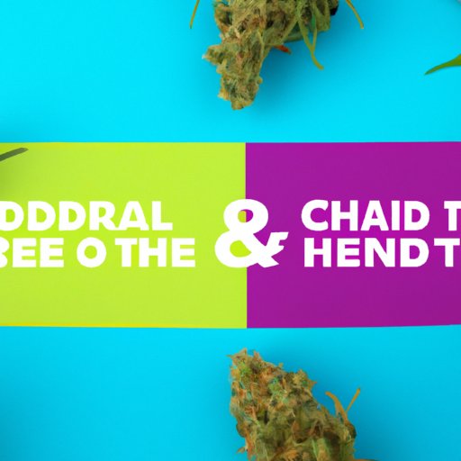 CBD vs. THC: Understanding the Differences and How They Play into Drug Testing