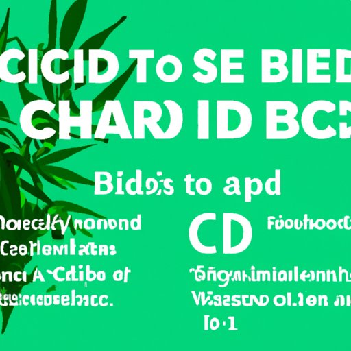 The ABCs of CBD: Understanding the Basics