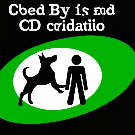 III. The Benefits and Risks of Administering CBD to Your Canine Companion