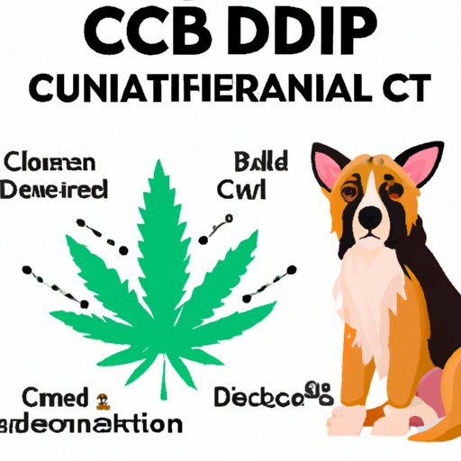 VIII. What Pet Owners Need to Consider Before Giving Their Dogs CBD Treatments