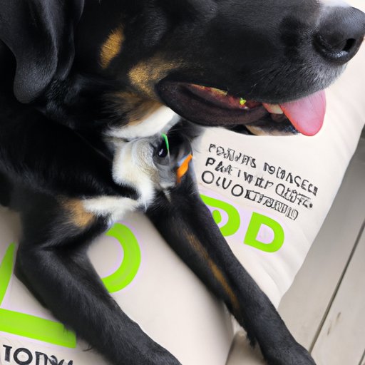 Risks and Signs of Overdosing on CBD for Dogs