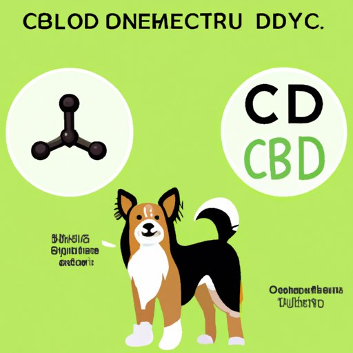 Debunking Common Myths About CBD Oil for Dogs