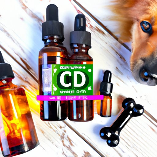 The Best CBD Oil Products for Dogs