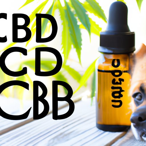 The Benefits and Risks of Giving CBD Oil to Dogs