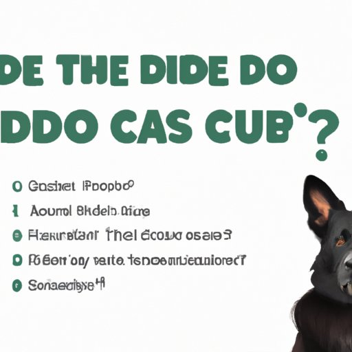 VIII. FAQs About CBD Oil for Dogs